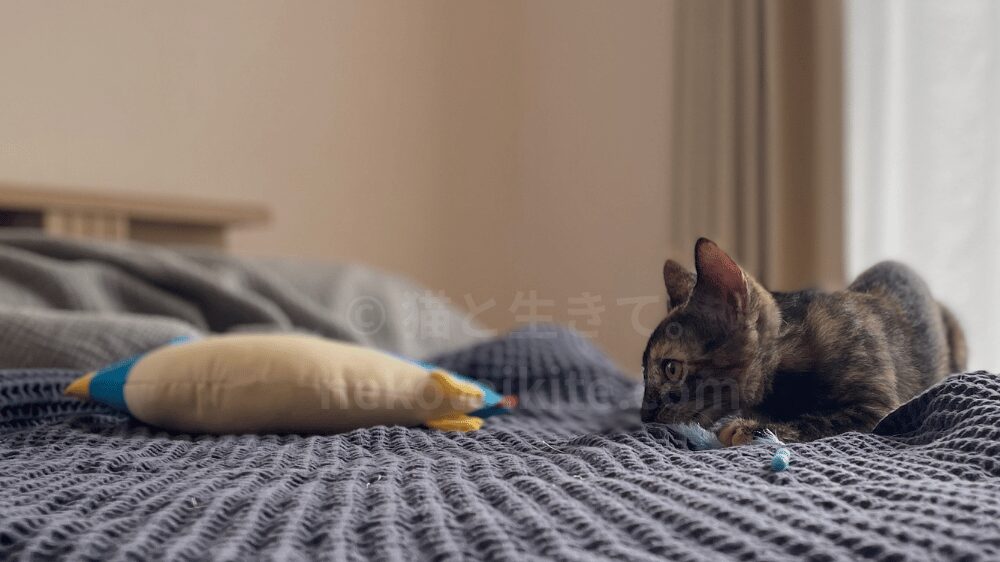 小さい時のサビ