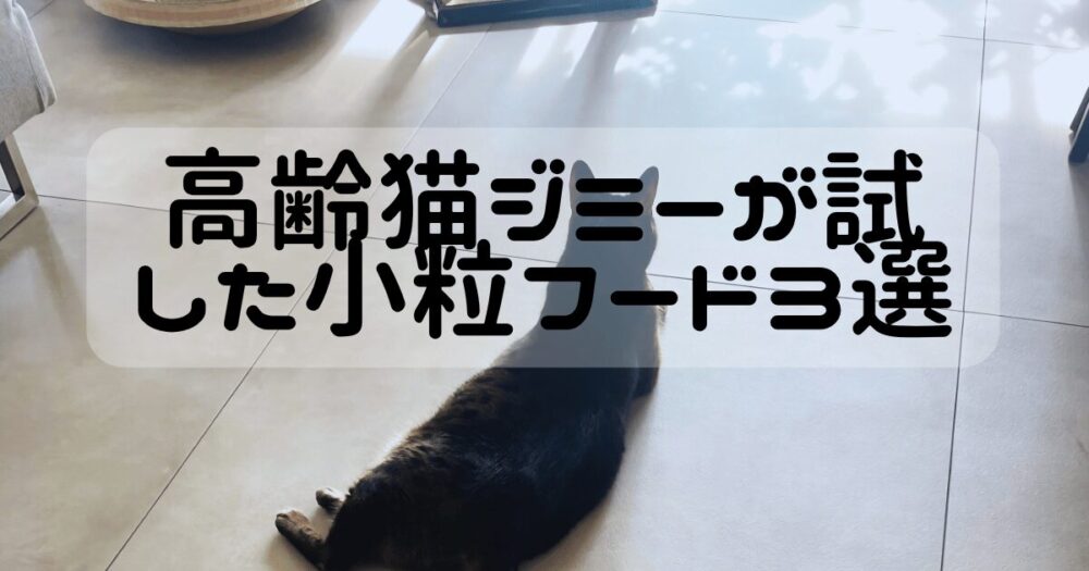 猫の後ろ姿のアイキャッチ画像
