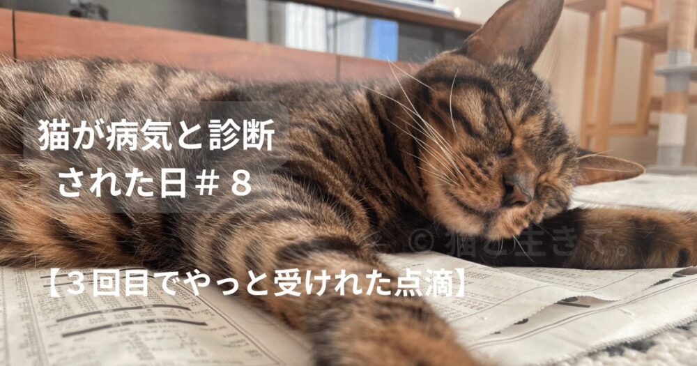 疲れて寝ているジミー