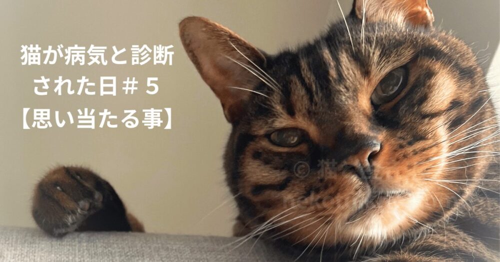 タワーの上からこちらを見ているジミー