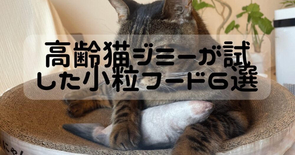 魚の蹴りぐるみを抱くジミー